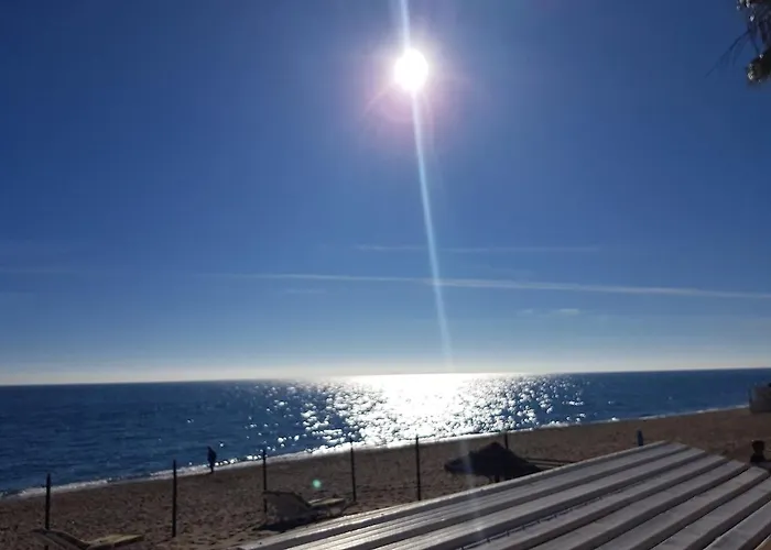 Quiet Beachfront Oasis - Dona Sofia Appartement